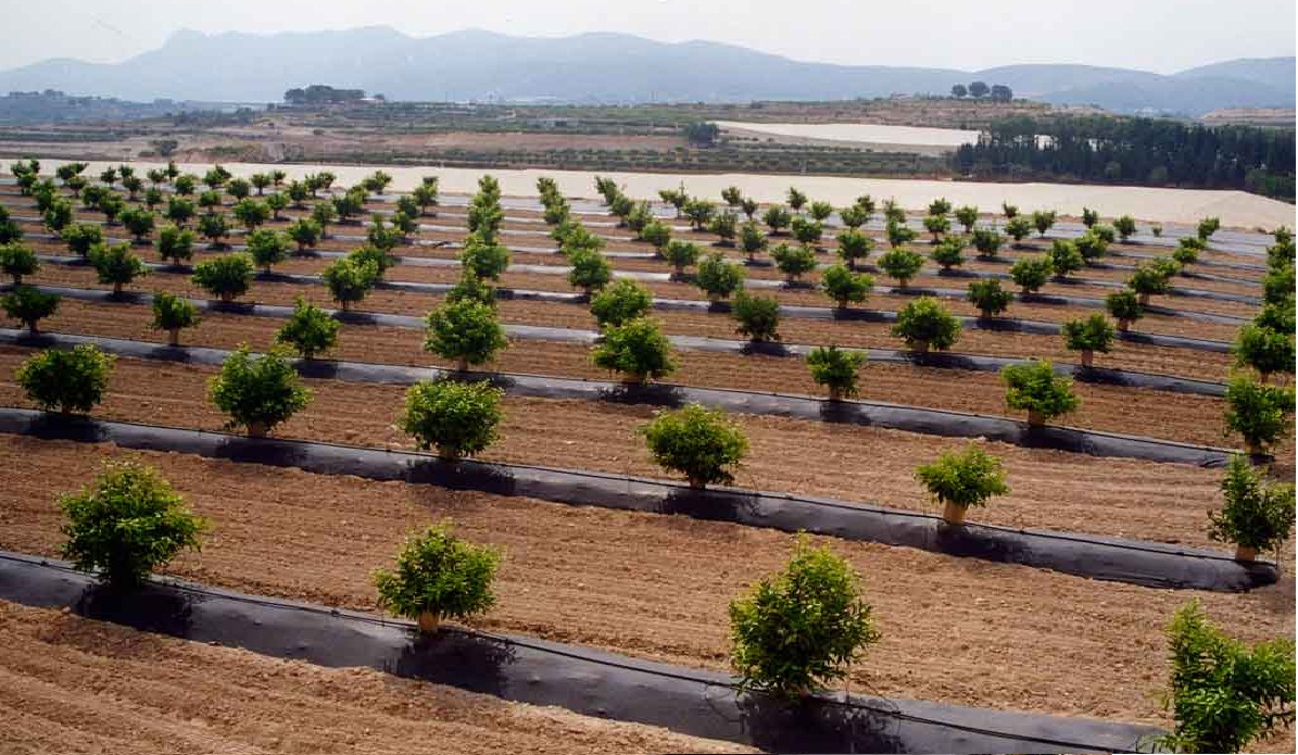 Agrotextilie černá - detail 2